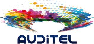 Auditel Logo WHITE150