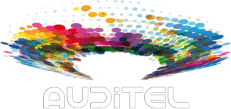 Auditel Logo WhiteText